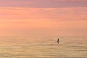 レーザー美顔器の収納に便利なスタンドはどれ？