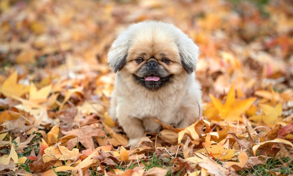 トリアレーザーでのシミ治療の体験談はどうだった？