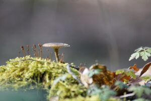 レーザー美顔器を使った夏の毛穴開き対策は？